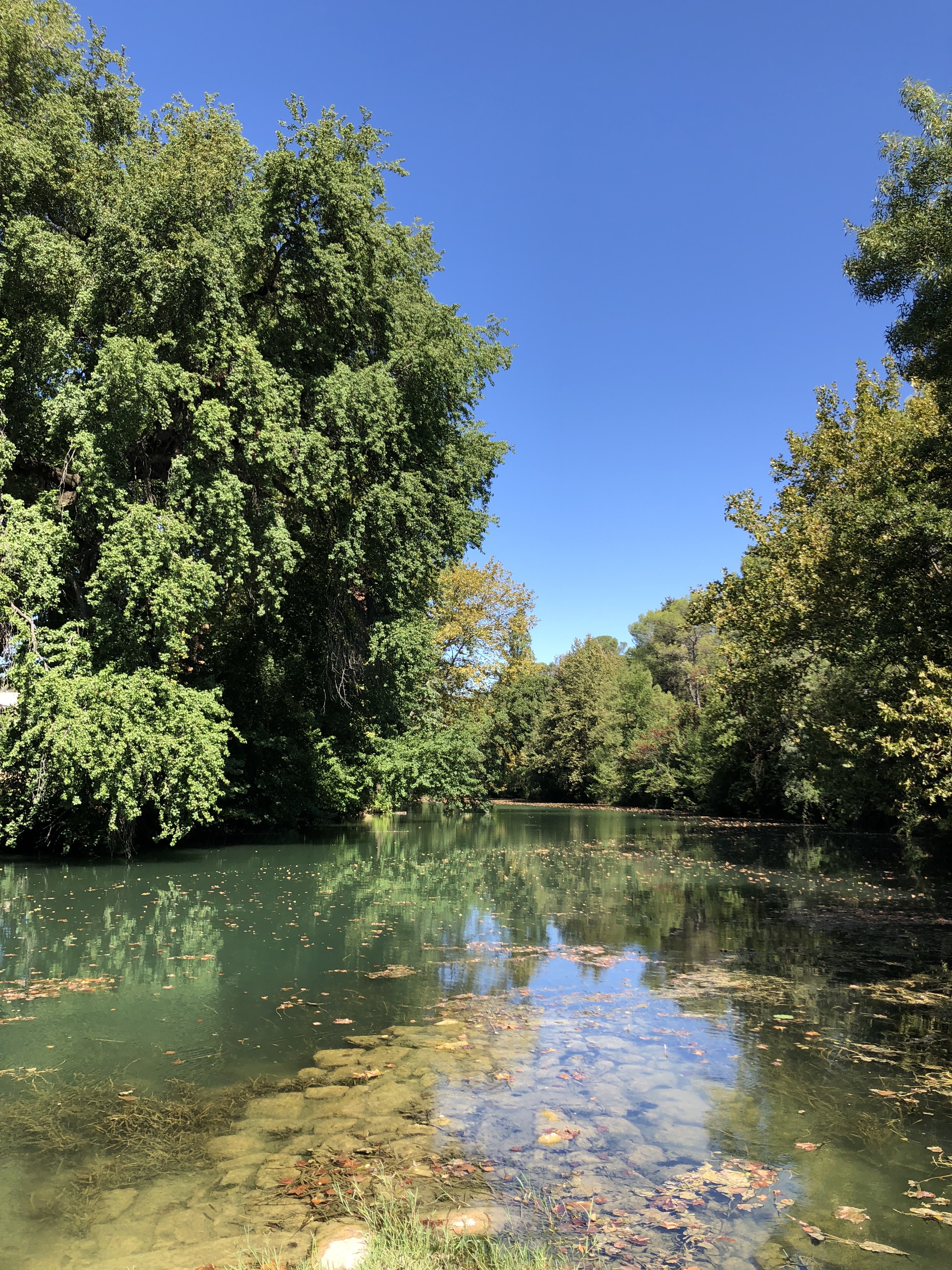 Photo n° 3 de l'avis de Allan.e fait le 31/10/2019 à 14:56