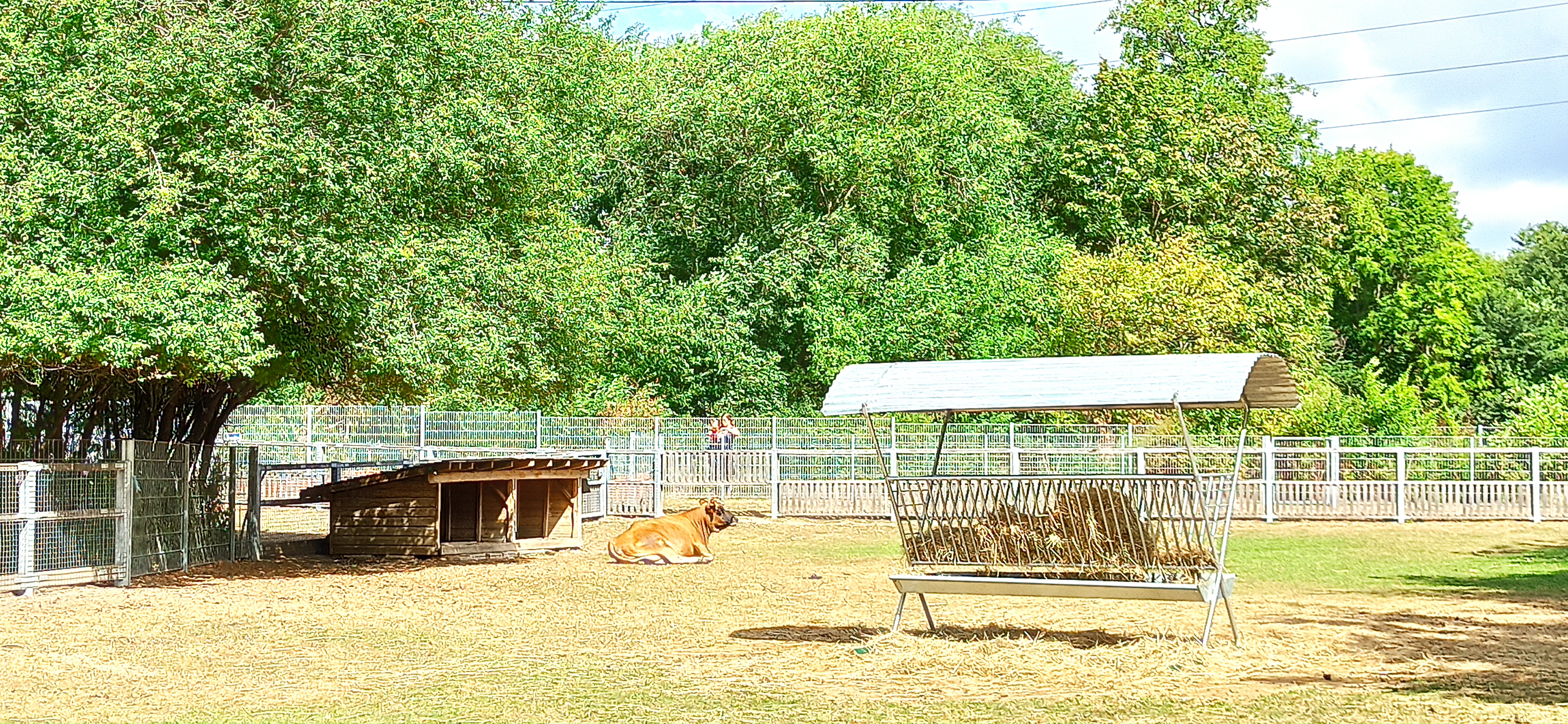 Photo n° 1 de l'avis de julien.t fait le 26/07/2020 à 10:46