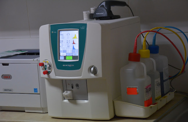 Comentarii opinii despre Lecznica Weterynaryjna "Animals" Piotr Burzyński