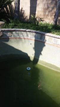 Advanced Tile Cleaning - Photo 7 - Car repair in Clovis, CA, Clovis