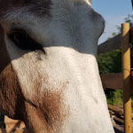 Photo n°10 de l'avis de Romina.a fait le 19/08/2023 à 09:23 sur le  AGRITURISMO GUARDASTELLE à Monte San Pietro