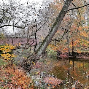 Kurtzs Mill Covered Bridge - photo 18