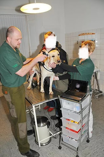 Tierarztpraxis Björn Becker unter Bad Bentheim, 