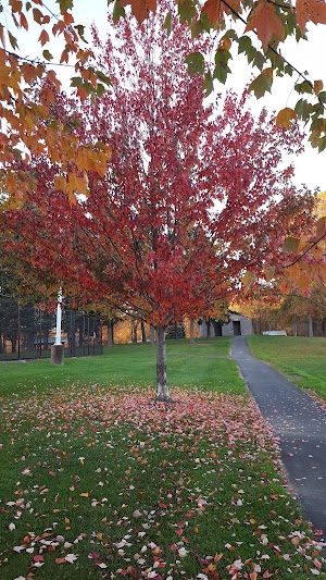 Tallmadge Lions Park - photo 15