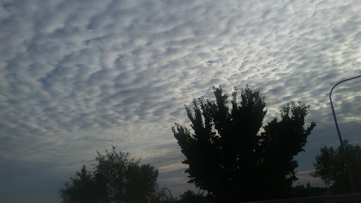 Amusement Center «Odyssey Fun World», reviews and photos, 19111 Oak Park Ave, Tinley Park, IL 60477, USA