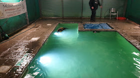 Aquadoggies K9 Hydrotherapy Pool