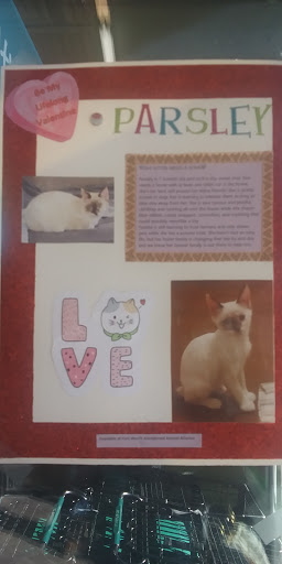 Pet Supply Store «Pet Supplies Plus», reviews and photos, 1616 Precinct Line Rd, Hurst, TX 76054, USA