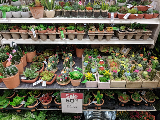 Craft Store «Michaels», reviews and photos, 1110 Stafford Market Pl, Stafford, VA 22556, USA