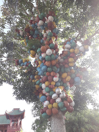 Top 20 mẫu cửa hàng đẹp Huyện Tịnh Biên An Giang 2022