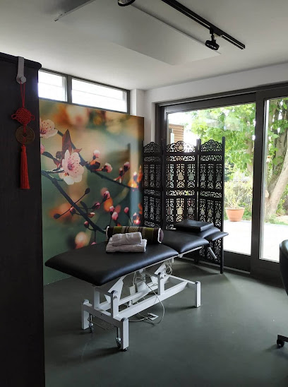 JoQi Tuina Massages, drukpunt-en meridiaanmassage, alternatieve geneeswijzen