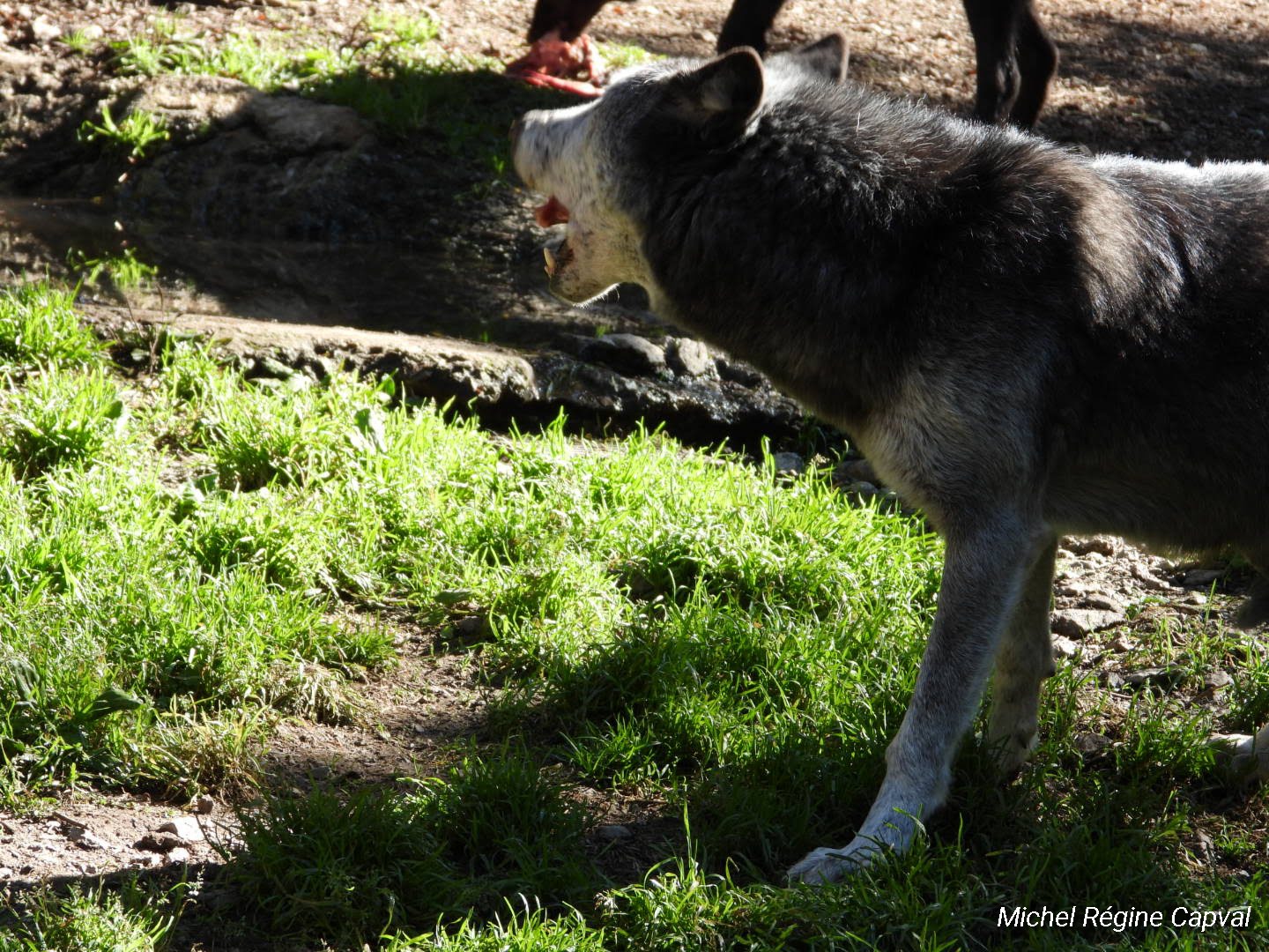 Photo n° 11 de l'avis de michel.a fait le 03/10/2019 à 13:25