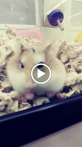 Pet Supply Store «Petco Animal Supplies», reviews and photos, 340 Leonardwood Dr, Frankfort, KY 40601, USA