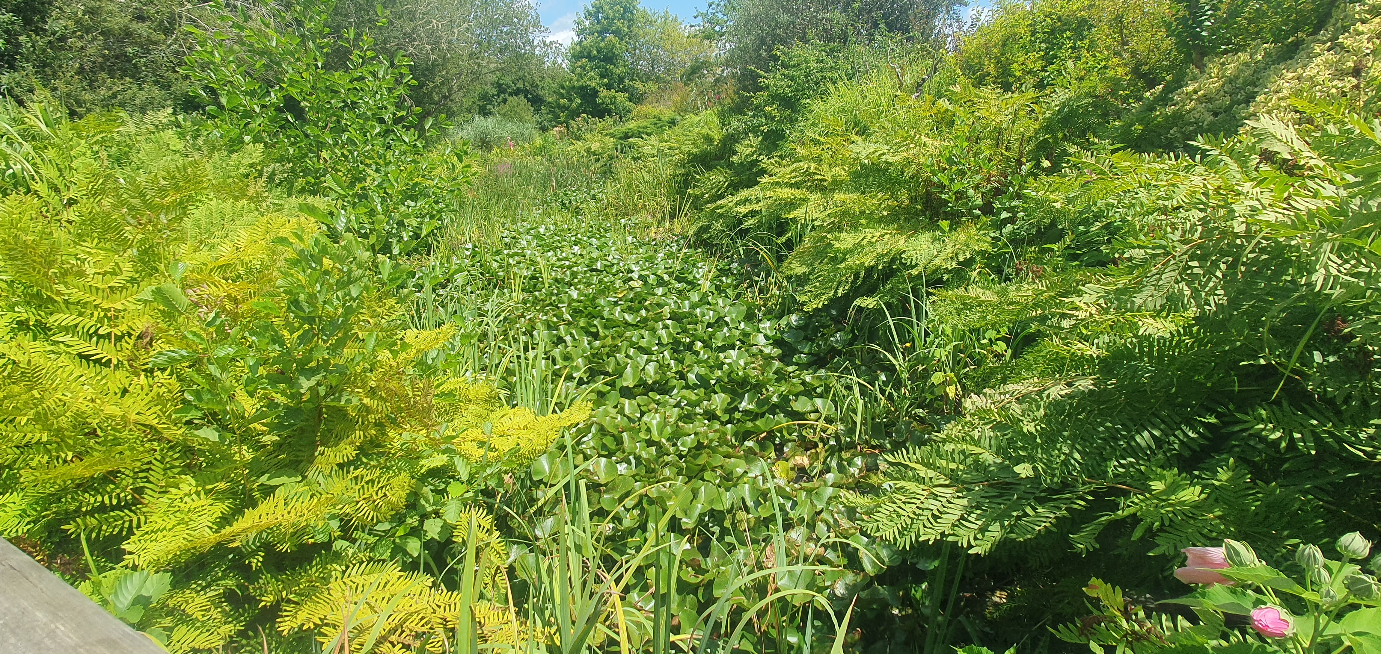 Photo n° 5 de l'avis de Jean-Marie.a fait le 31/07/2023 à 09:08