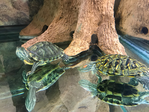 Pet Supply Store «Petco Animal Supplies», reviews and photos, 1919 El Camino Real, Mountain View, CA 94040, USA