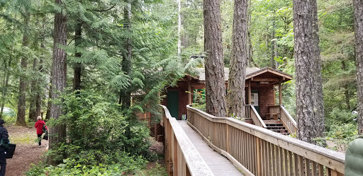 Performing Arts Theater «Kitsap Forest Theater», reviews and photos, 3000 Seabeck Hwy NW, Bremerton, WA 98312, USA