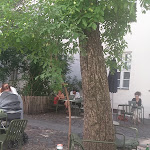 Photo n°1 de l'avis de Dnl.r fait le 03/07/2018 à 14:17 sur le  Café Bravo à Berlin
