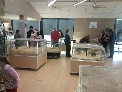 Pet Store «Perfect Pets», reviews and photos, 6840 S University Blvd #410, Centennial, CO 80122, USA