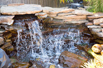 Cut Right Tree Service | Tree Service Tulsa - Photo 2 - Car repair in Tulsa, OK, Tulsa