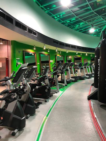 Adrenagy Fitness Center - Khalifa Park, gate no.1, Salam street - Abu Dhabi - United Arab Emirates
