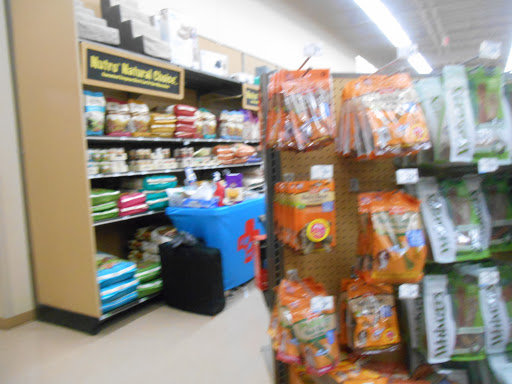 Pet Supply Store «Petco Animal Supplies», reviews and photos, 1065 Kennedy Rd, Windsor, CT 06095, USA