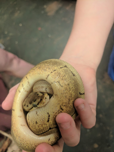 Pet Store «Pet Zone», reviews and photos, 8925 Jewella Ave #4, Shreveport, LA 71118, USA