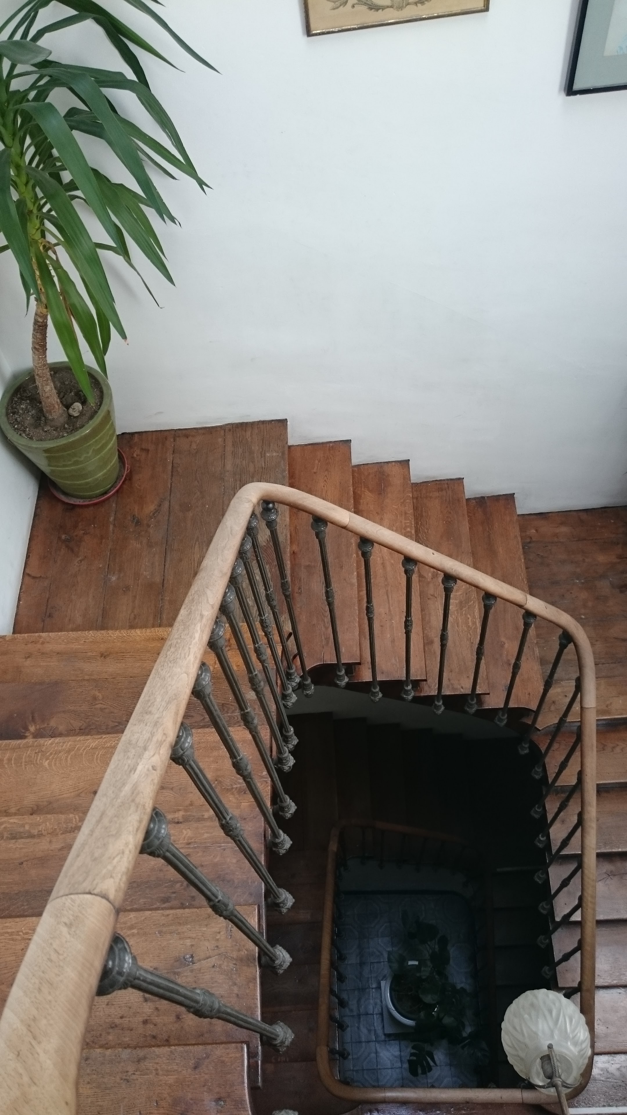Photo n° 1 de l'avis de Osvaldo.o fait le 15/07/2019 à 09:29