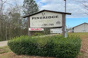 Pineridge Apartments image