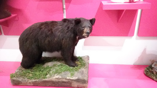 Museum «New Jersey State Museum», reviews and photos, 205 W State St, Trenton, NJ 08608, USA