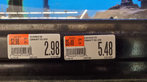 Pet Supply Store «Pet Supplies Plus», reviews and photos, 15034 San Pedro Ave Suite A, San Antonio, TX 78232, USA