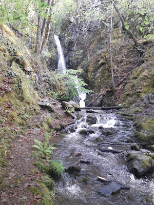 Ruisseau des Étangs à Lapleau