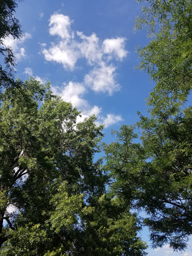 Park «Archmere Park», reviews and photos, 4117 Oak Park Ave, Cleveland, OH 44109, USA