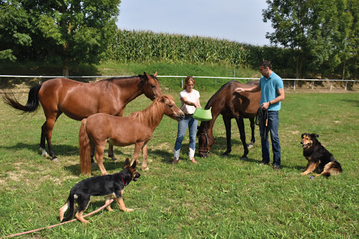 Inropharm vet. Pharm. Produkte GmbH & Co KG unter Fürstenzell, 