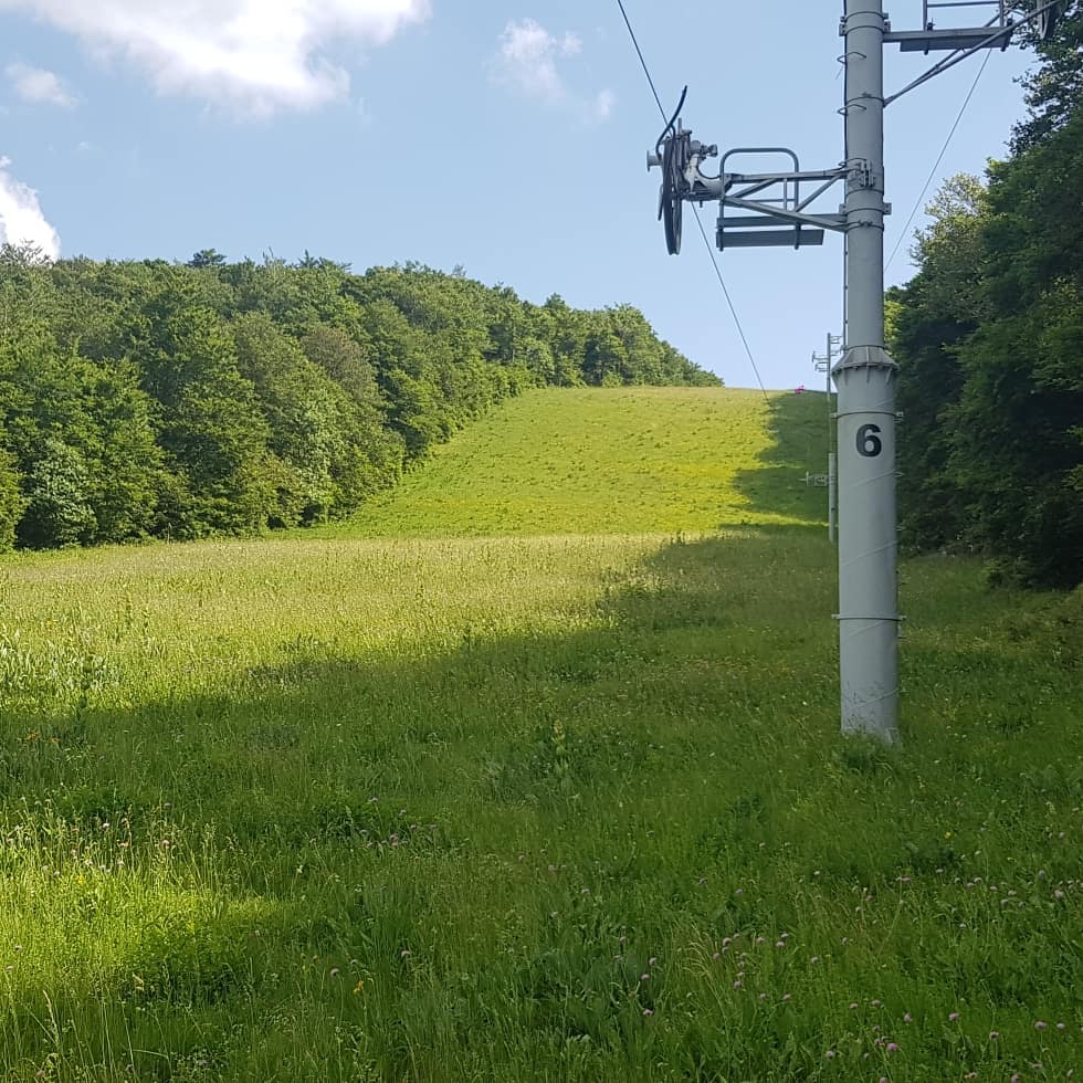 Photo n° 1 de l'avis de Rik.a fait le 06/07/2019 à 11:09