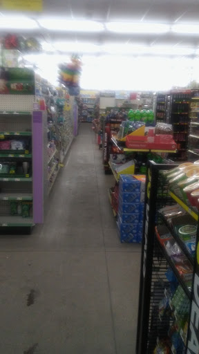 Discount Store «Dollar General», reviews and photos, 645 S Opdyke Rd, Auburn Hills, MI 48326, USA