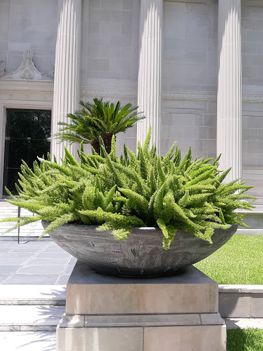 Museum «Museum of Fine Arts, Houston», reviews and photos, 1001 Bissonnet St, Houston, TX 77005, USA