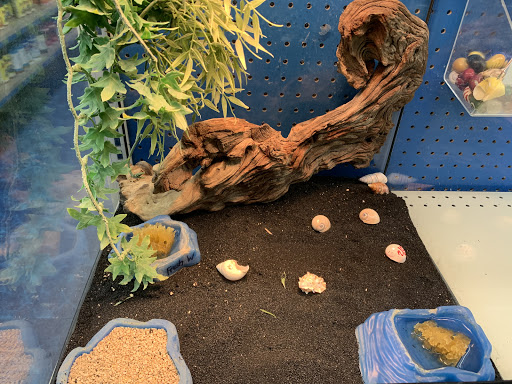 Pet Supply Store «Pet Supermarket», reviews and photos, 10291 Pines Blvd, Pembroke Pines, FL 33026, USA