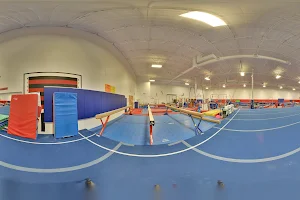 Eagle Gymnastics Academy image