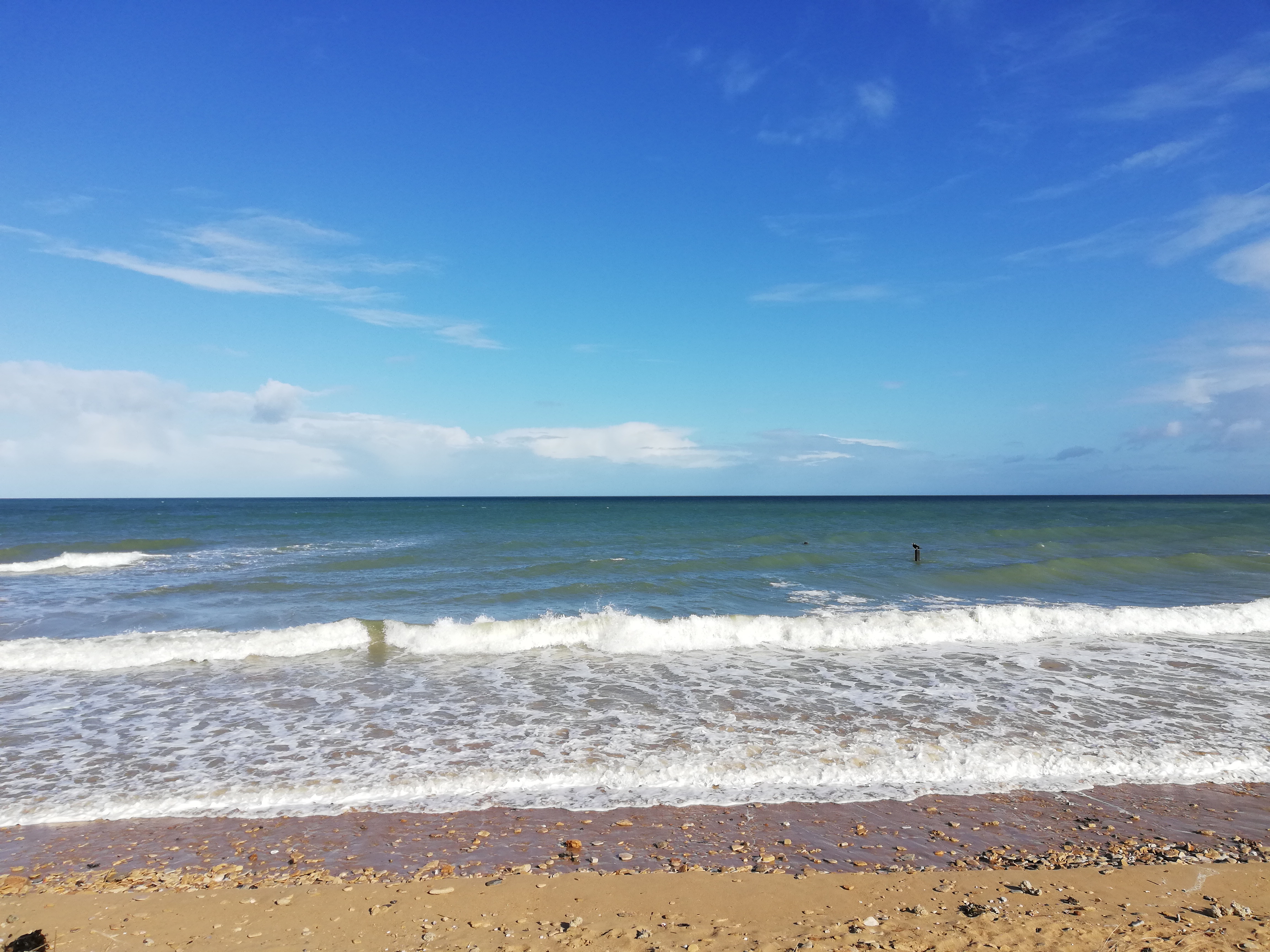 Photo n° 5 de l'avis de Bey.i fait le 16/04/2019 à 15:31