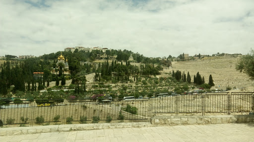 City of David