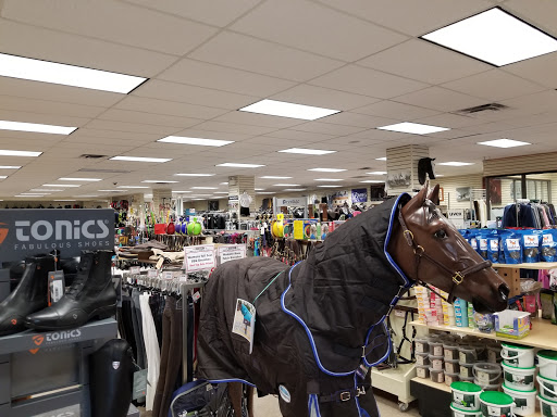 Equestrian store Hamilton