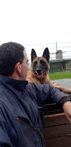 Societe Royale Protectrice des Animaux et Societ - Vereniging