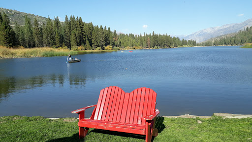 National Park «Kings Canyon National Park», reviews and photos