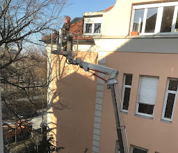 Urban Münchner Baumpflege GmbH photo