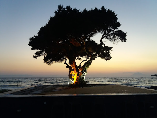 Αριθμός τηλεφώνου Polos Apartments & Beach Bar Restaurant