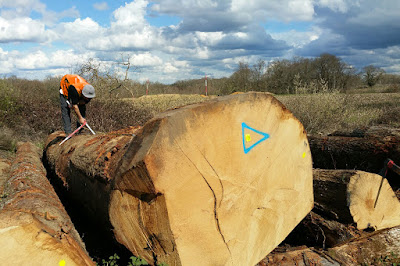 ALLIANCE Forêts Bois à Châteauroux