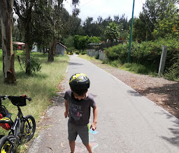 The Park CHILDREN photo