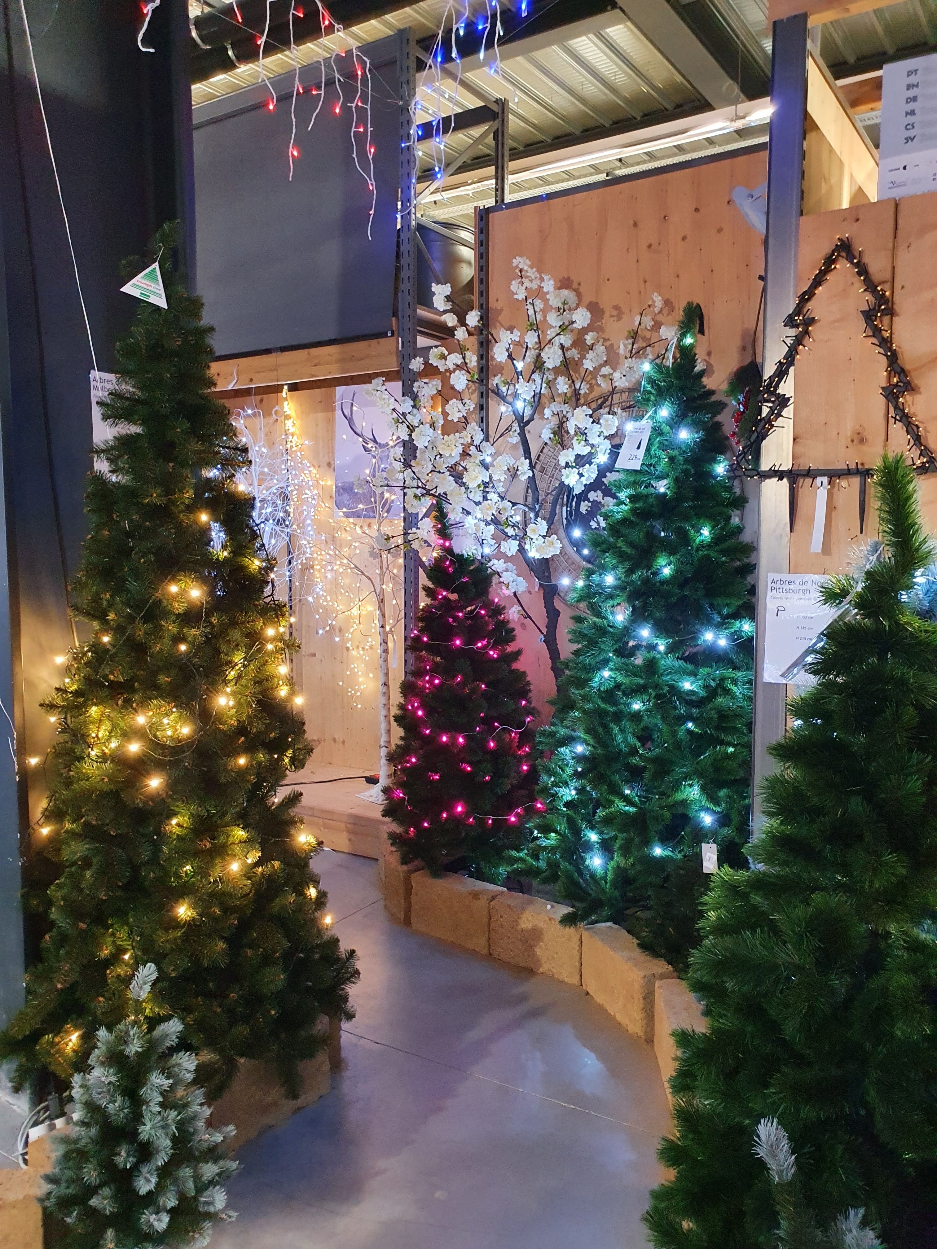 Photo n° 6 de l'avis de CATHIE06. fait le 16/12/2020 à 18:05