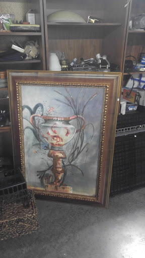 Thrift Store «HEP Thrift Store», reviews and photos, 1212 N Betty Ln, Clearwater, FL 33755, USA