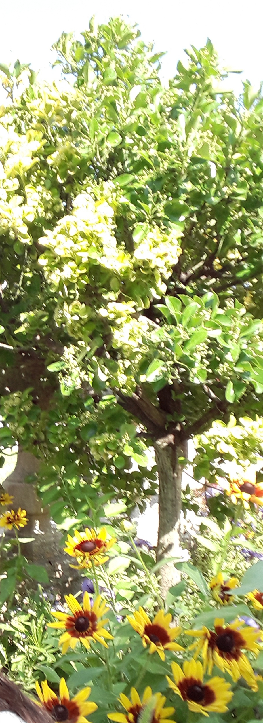 Photo n° 1 de l'avis de Ana.a fait le 27/07/2019 à 11:49