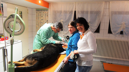 Dr. med.vet. Jürgen Deumer unter Wolfschlugen, 